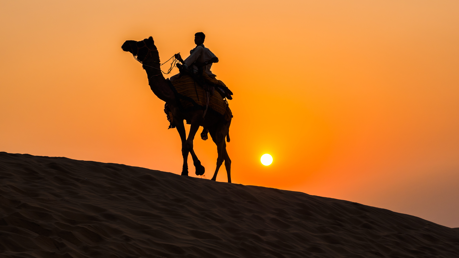 Desert Landscape