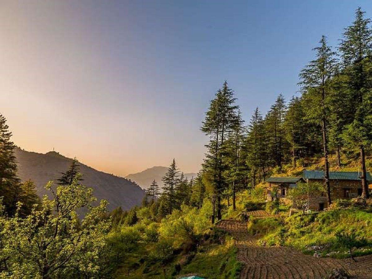 Chakrata Forest
