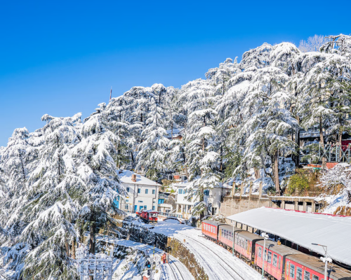 Shimla Package